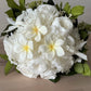 'WHITE DREAM' - preserved frangipani bouquet